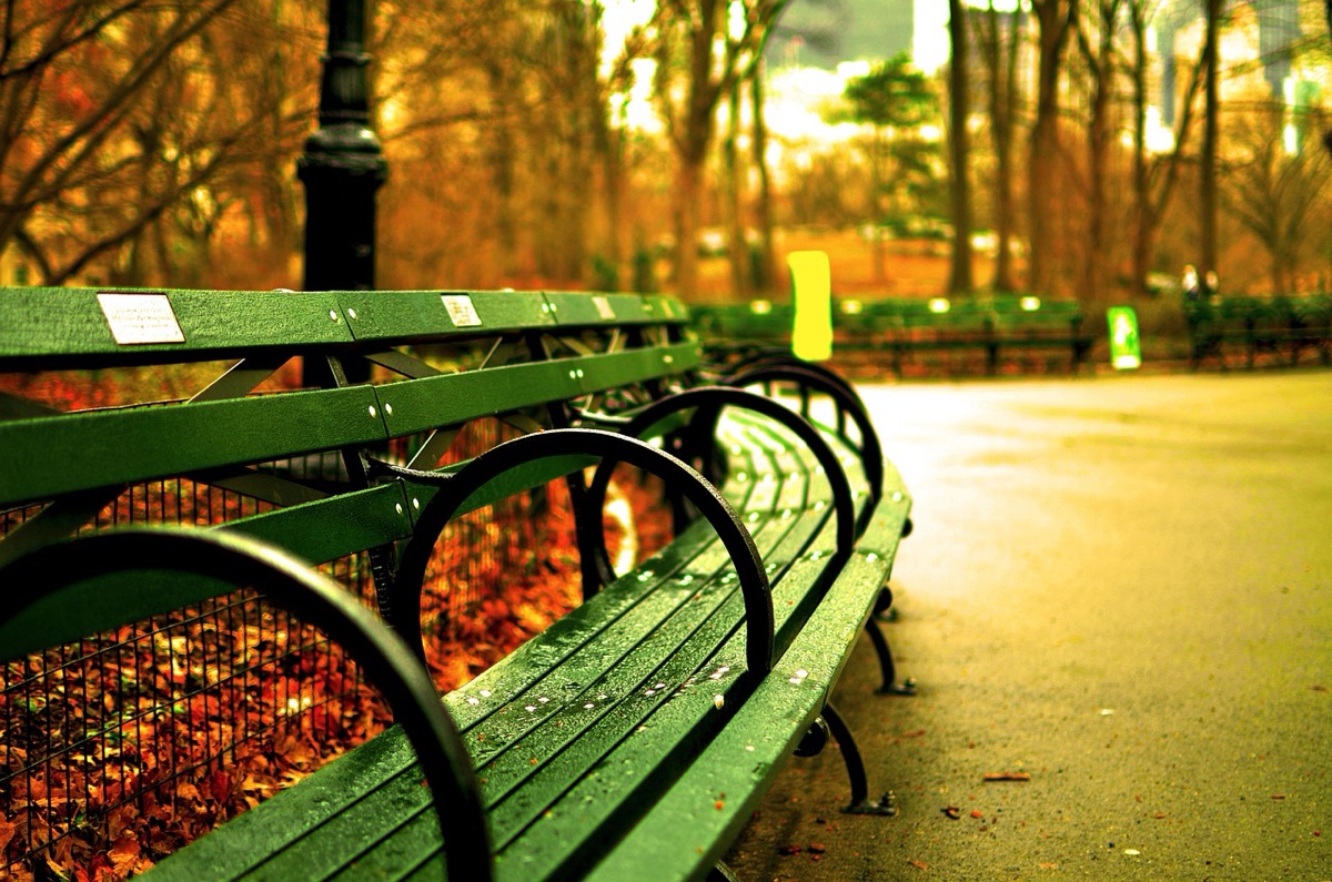 Central Park bench