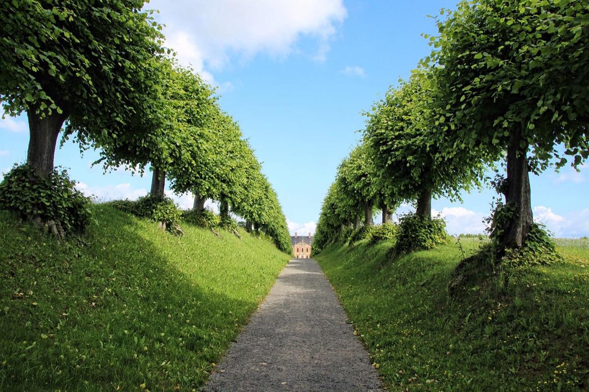 5de avenue winkelsteden
