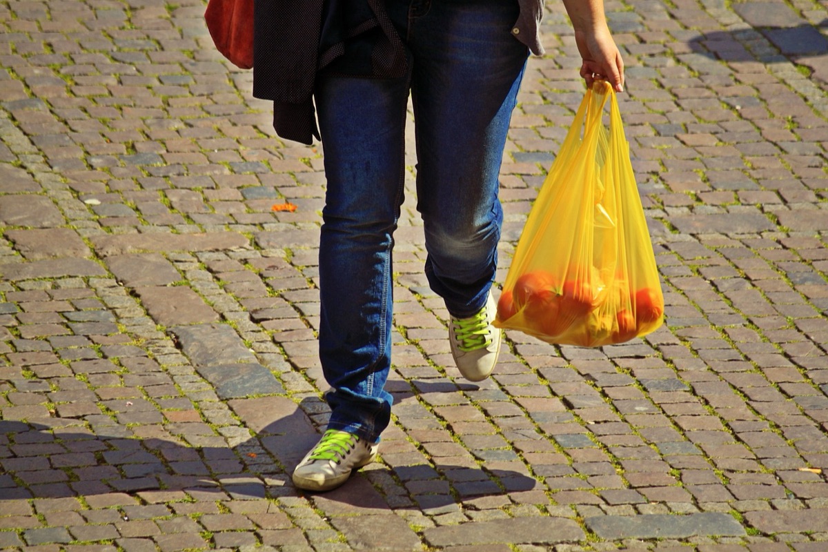 Shopper with shopping bag and ticket voucher
